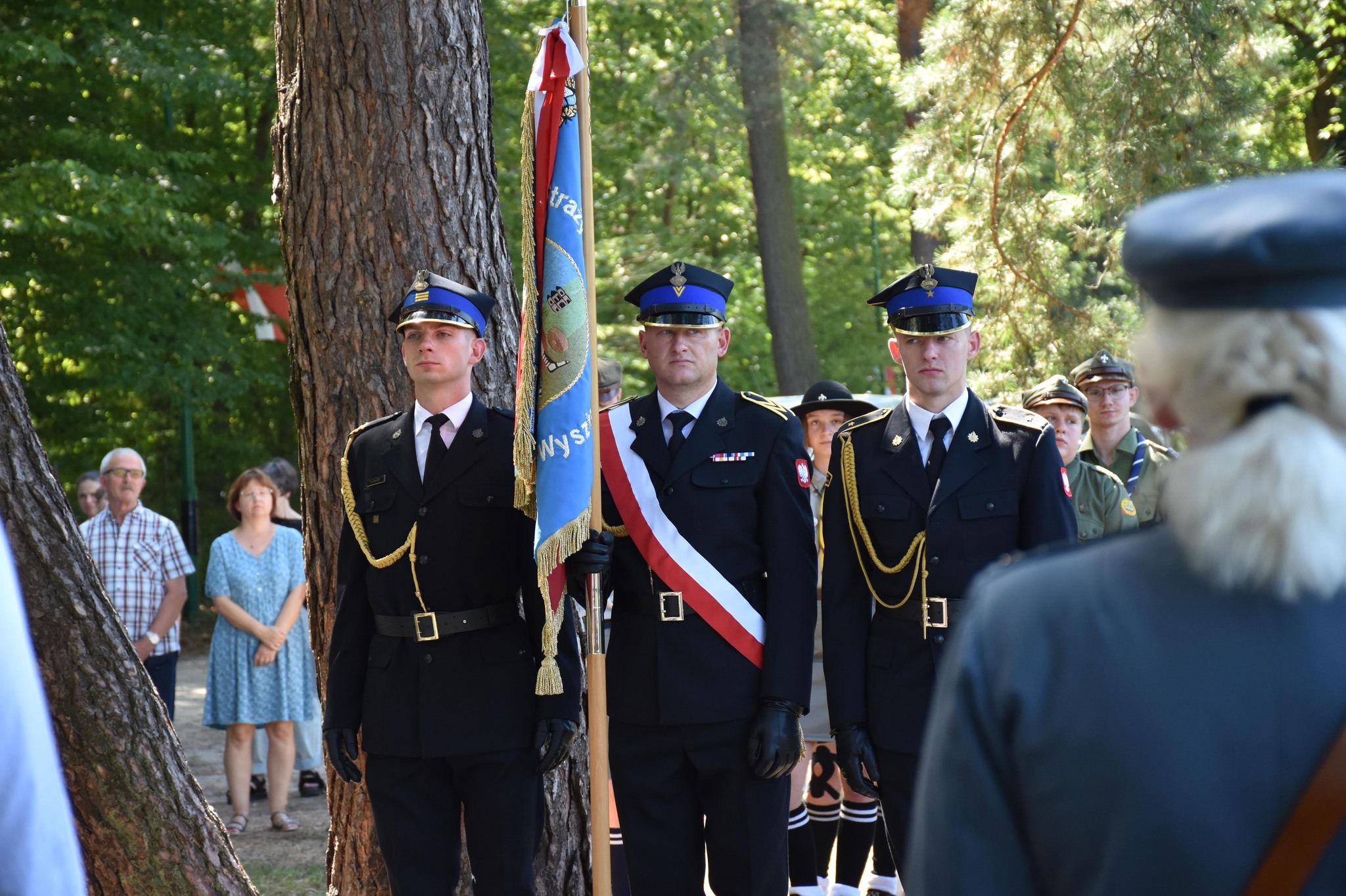 1508-13.jpg (630 KB)